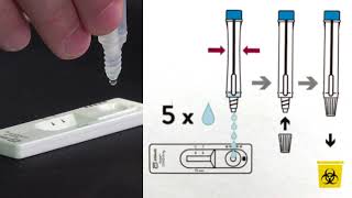 Rapid antigen screening [upl. by Hcra]