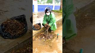 Debris Gone Clearing Culverts for Smooth Drainage [upl. by Arrac]