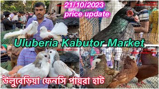 Uluberia Kabutor Market Uluberia Pet market 21102023 price update today cheapestprice kabootar [upl. by Athenian]