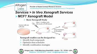 Altogen Labs MCF7 Xenograft Service Breast Cancer [upl. by Huntley505]