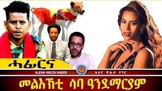 ✴️➛ጸወታ ኩዕሶ ፣ ኢትዮጵያን ፣ ኤርትራን ፣ 28112024 [upl. by Campball65]