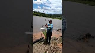 Pesca de lambari na represa Biritiba  Ussu em Mogi das Cruzes 34 [upl. by Lina]