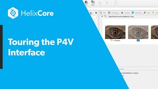 Touring the P4V Interface [upl. by Ahseikram]