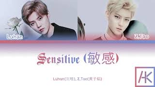 Luhan鹿晗 ZTao黄子韬  Sensitive 敏感 ColorCoded Lyrics KanPinEng [upl. by Atterual]