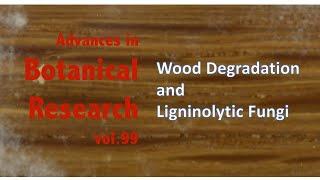 ABR99 Wood Degradation and Ligninolytic Fungi [upl. by Ardnassak]