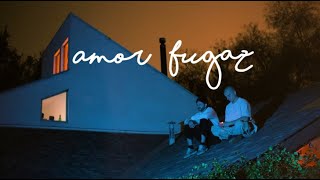 Amigo de Artistas  Amor Fugaz Visualizer [upl. by Nit]