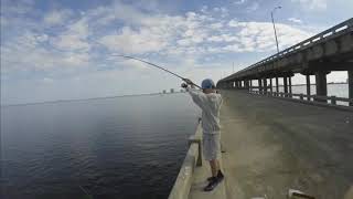 Pigfish and White Trout on Bob Sykes Fishing Pier [upl. by Esdnil]