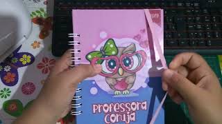 Planner do Professor  DOWNLOAD GRÁTIS [upl. by Belia]