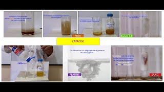 Catalyse homogène hétérogène et enzymatique 2eme BAC [upl. by Lledal]