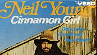 Cinnamon Girl Neil Young  cover by Craig D [upl. by Nnayelsel]