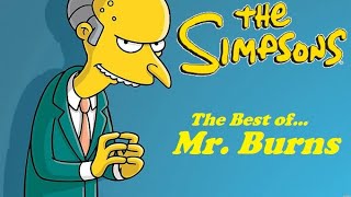 The Simpsons  The Best of Mr Burns [upl. by Kapeed]