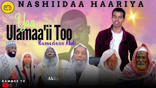 Nashiidaa haaraya YAAULAMAAIITOO Yaroo dhihotti inshaa allaah hangasuu subscribe godhaa 🙏♥️ [upl. by Tsew]