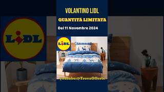 Volantino Lidl dal 11 Novembre 2024 ✅ Offerte casa cucina e SilverCrest 🔥 lidl short anteprima [upl. by Bainbrudge]