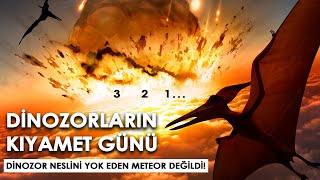 DİNOZORLARIN Yok Olduğu Kıyamet Günü I Meteorun İzleri Nasıl Bulundu ve Nerede [upl. by Fu357]