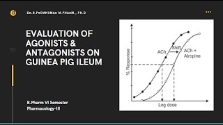 Effect of agonists and antagonists on Guinea Pig Ileum [upl. by Annoj]