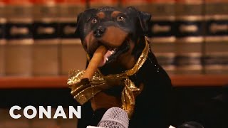 Triumph The Insult Comic Dog Is Suing Carnival Cruise Lines  CONAN on TBS [upl. by Htide]