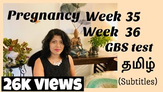 Pregnancy week 35 in tamil  36 weeks pregnant Tamil  GBS test  கர்ப்ப வாரம் 35  கர்ப்ப வாரம்36 [upl. by Nagorb142]