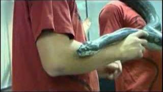 Coastal Carpet Python at Snakes Alive 2008 [upl. by Nitsej]