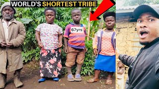 WORLD SHORTEST Tribe  The Batwa Pygmies 🇺🇬 [upl. by Hcnarb]