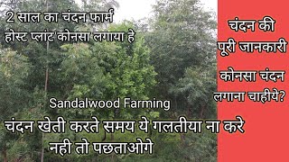 chandan Farming की पुरी जानकारी। sandalwood Farming।।चंदन खेती।Chandan ki kheti [upl. by Gaut21]