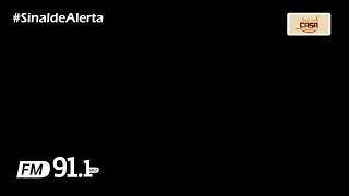 Programa Sinal de Alerta 13112024 [upl. by Allx]