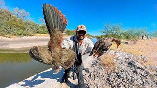 Cacería de CHACHALACAS y PATOS en canales de riego con RIFLE PCP [upl. by Elset253]