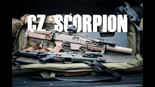 CZ Scorpion Evo 3 Review [upl. by Nosidda936]