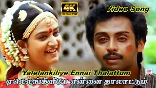 Yaleankiliyeaஏலெலங்கிளியே என்னைதாலாட்டும்Anand Babu Mohini Love Sogam Tamil Song [upl. by Atelokin]