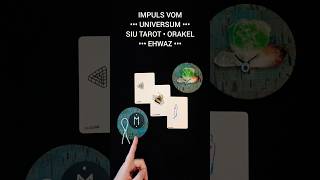 🔴 DEIN IMPULS VOM UNIVERSUM 👁️‍🗨️ DIE HUMMEL • EHWAZ • shorts tarot rune 🧿 [upl. by Annissa]