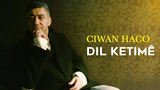 Ciwan Haco  Dil Ketimê Official Audio [upl. by Noirod]