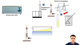 Isolation of Streptomycin Resistant Mutants of E coli by Gradient Plate Method [upl. by Henrique]