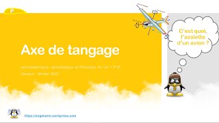 🛫Axe de tangage BIA Principes du vol🎈16 [upl. by Adaval]