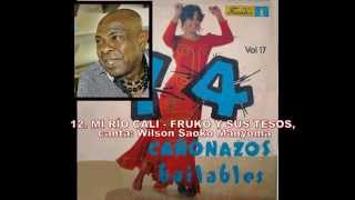 14 CAÑONAZOS BAILABLES VOLUMEN 17 DEL AÑO 1977 [upl. by Stanzel442]