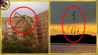 30 Mysterious Giant Creatures Caught on Tape [upl. by Mallorie]