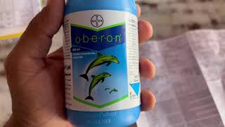 Oberon Bayer insecticide full information with specificationSpiromesifen 240 SC 229  ww [upl. by Assetan]