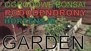 GARDEN  Ogrodowe bonsai  Jak prawidłowo posadzić rododendrony i hortensje [upl. by Pilihp902]