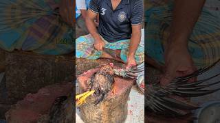 Amazing Special Desi Chicken Cutting Skills In Bangladesh Chicken Market 😱 shorts [upl. by Davida832]