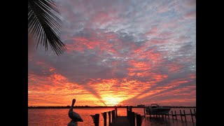 Siesta Key Live  Relaxing Sounds of Calm Waves and Island Life [upl. by Maggie]