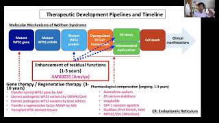 Novel therapies for Wolfram syndrome Dr Fumihiko Urano [upl. by Rudolf873]