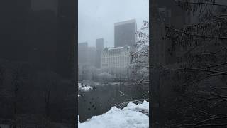 Snowstorm NYC  Central Park 2024 [upl. by Sethrida380]