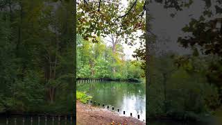 Tiergarten Berlin 🍁🍂 berlin travel berlinvlog trending berlincity berlinberlin [upl. by Hachmann]