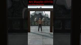 Les ailes de laigle 3772 art shaolin [upl. by Roosevelt]