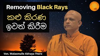 Removing Black Rays කළු කිරණ ඉවත් කිරීම by Ven Walasmulle Abhaya Thero Meditation [upl. by Cleopatra]