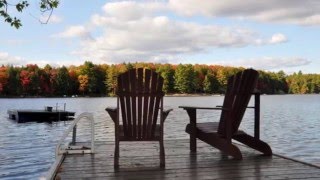 Muskoka Cottage for Rent 353 on Bigwind Lake near Bracebridge Ontario [upl. by Aiyt214]