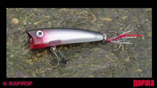 Rapala® XRap® Pop [upl. by Toft]