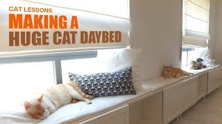 How to Make a Huge Cat Daybed [upl. by Isac]