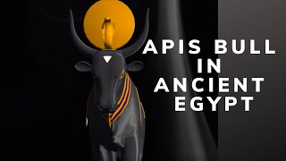 Apis Bull in Ancient Egypt [upl. by Milas]