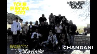 Barbaro Fines Y Su Orquesta Mayimbe  Changani 2012ESTRENO OFICIALVERSION ESTUDIO [upl. by Nanreik101]