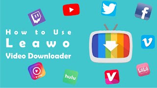 Video Downloader User Guide  How to Use Video Downloader [upl. by Allcot614]