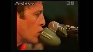 Morphine  Live at Torhout Werchter Festival 1995 [upl. by Alver]